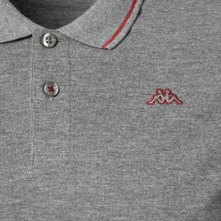 Polo Homme Ezio Gris