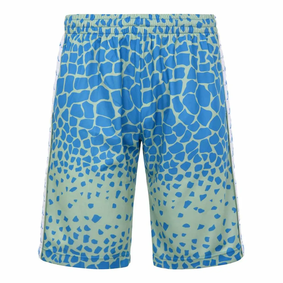 Short Homme Saio Authentic Vert